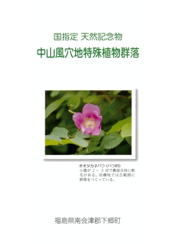 下郷町中山風穴地特殊植物群落パンフレット(PDFファイル:5MB)